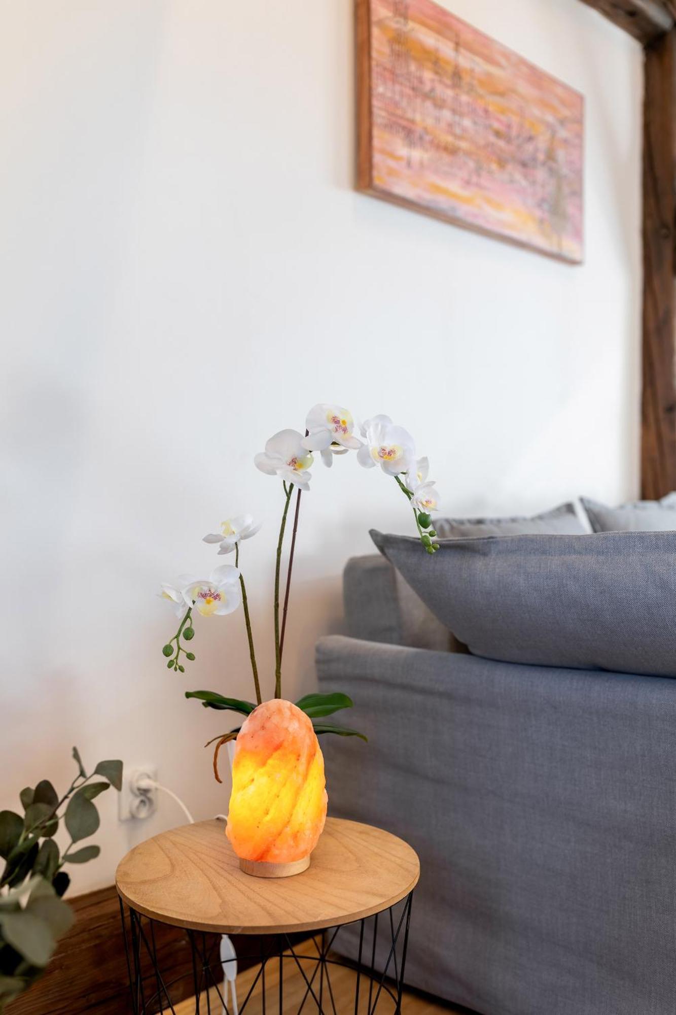 Apartment With Entresol Old Town Krakow Dış mekan fotoğraf