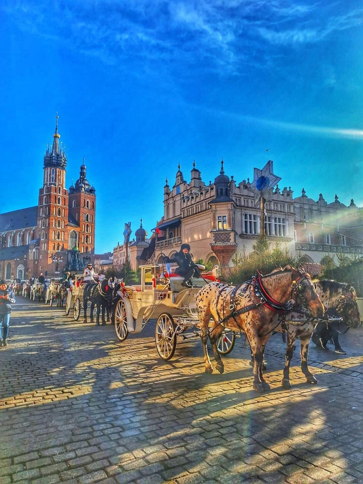 Apartment With Entresol Old Town Krakow Dış mekan fotoğraf